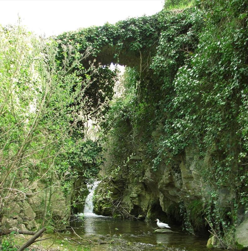 Habitacion De La Marquesa Alcoleja Eksteriør billede