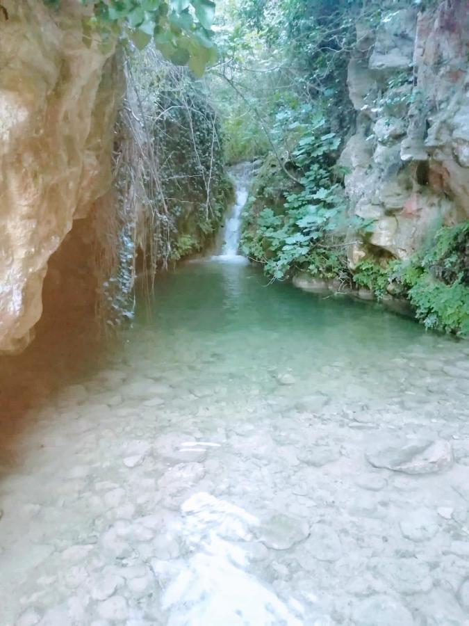 Habitacion De La Marquesa Alcoleja Eksteriør billede